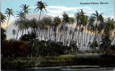 Postcard Cocoanut Palms Coconut Palm Tree in Hawaii picture