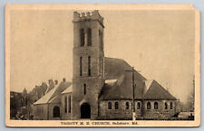 Vintage Postcard MD Salisbury Trinity M. E. Church ~7713 picture