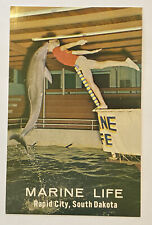 Vintage Postcard, Marine Life, Dolphin, Rapid City, South Dakota, unposted picture