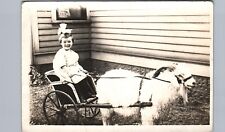 GOAT WAGON LITTLE GIRL real photo postcard rppc pet farm animal rides ~SIDE TRIM picture