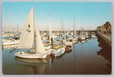 Transportation~View Of Boats At Santa Barbara Harbor~Continental Postcard picture
