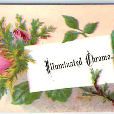 c1880s Sample Illuminated Chromo Lithography Stock Trade Card Advertising C35 picture