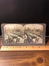 Vintage 1905? Imperial Guard  Soldiers Strassburg Germany Stereoview Photo picture