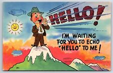 Comic Humor c1940 Hello I'm Waiting For You To Echo Hello To Me Postcard picture
