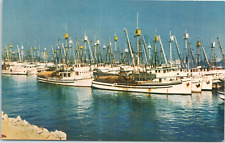 San Pedro California CA San Pedro Harbor Fishing Fleet Boats Postcard picture
