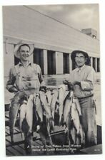 A String Of Fish Taken From Waters Below Great Kentucky Dam Fishing Postcard picture