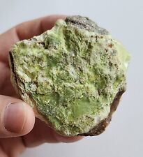 Gorgeous Natural Green Opal Display Specimen - 126g picture