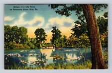 Erie PA-Pennsylvania, Bridge over Lily Pond, Peninsula Drive, Vintage Postcard picture