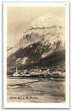 c1940s Field British Of Columbia Mt. Stephens Canada RPPC Photo Vintage Postcard picture