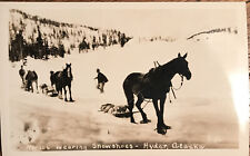 H7/ Alaska Postcard RPPC 53 Norwegian Snowshoes Horse picture