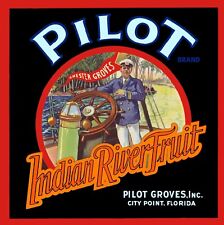 Pilot Brand City Point Florida Indian River Orange Fruit Crate Label Art Print picture