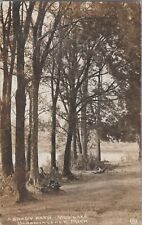 A Shady Path Mud Lake Bloomingdale Michigan Allegan 1913 PM RPPC Photo Postcard picture