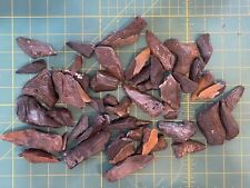 Over Two Pounds of Megalodon and Angustidens Fragments  picture