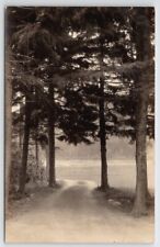 RPPC Dirt Road Through The Pines Lake In Distance Real Photo Postcard B31 picture