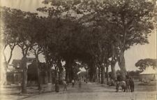 Guadeloupe Caribbean Pointe a PItre street view antique albumen photo picture