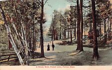 Palmer MA Massachusetts Forest Lake Park Cabin Early 1900s Vtg Postcard D49 picture