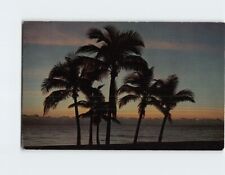 Postcard A Florida Sunrise USA North America picture