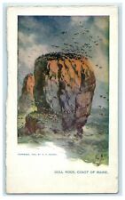 1904 Gull Rock Coast of Maine ME W.R. Hearst Sunday American & Journal Postcard picture