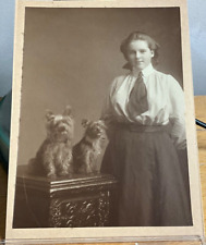 CC NORWICH Terrier & Griffon DOG  PAIR  & Pretty Lady 1890s CABINET  CARD Photo picture