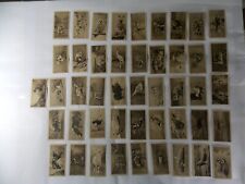 Lot of 46 BAT Cigarette Cards Zoological Studies 1928 picture