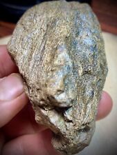 Gold Ore Nodule Super High Metal Content 200 Plus G’s Mother Load Sierra Nevada picture