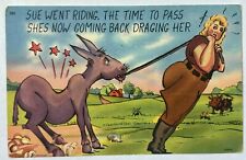 Woman Injures Mule From Riding It. Funny Vintage Postcard picture