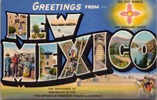 NM Greetings From New Mexico Large Letter Postcard Zia Sun Symbol Unposted picture