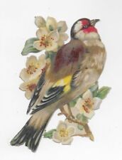 1888 Chromo de Coupis, French BIRDS NO.9, Victorian Antique, Diecut, 4