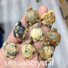 5pcs Natural Crazy agate quartz Crystal Sea turtle Carved Skull Healing random picture
