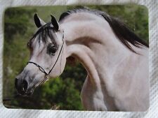 HORSE SWAP CARD~MODERN NEW~BEAUTIFUL ARABIAN ROSE GREY HORSE HEADSHOT#89 picture