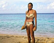 Ursula Andress in Dr. No As Honey Rider on beach 8x10 inch Photo picture