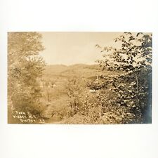 Grafton Vermont Kidder Hill RPPC Postcard c1910 Forest Landscape Photo A2952 picture
