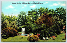 Original Vintage Antique Postcard Sunken Garden Schifferdecker Park Joplin, MO picture
