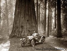 25hp Hudson Car at Sequoia National Park, Tulare, CA -1910- Historic Photo Print picture