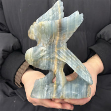 2.75LB Natural Blue Golem eagl skull Hand Carved quartz crystal skull Reiki heal picture