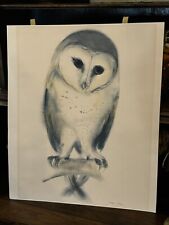 VTG Mid Century Modern Signed Watercolor Owl Painting 18.25x15.25” Retro Hippy picture