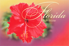HIBISCUS FLOWER IN BLOOM GREETINGS POSTCARD SARASOTA FL FLORIDA picture