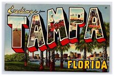 Postcard: FL Greetings from Tampa Florida - Unposted picture