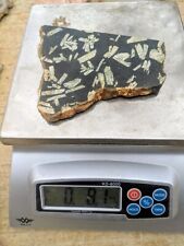 8 + oz Chinese Writing Stone Slab Porphyry Cabbing Lapidary picture