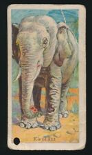 1910 E26 John H. Dockman & Son MENAGERIE GUM -Elephant picture