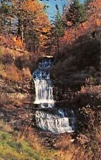 Alger Falls Munising Michigan Chrome Postcard Landscape Dexter picture