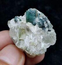 Indicolite Tourmaline Crystals With Muscovite Mica On Quartz From Afghanistan. picture