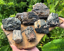 JUMBO Black Tourmaline Rod / Logs - CLEARANCE Natural Raw Tourmaline Crystals picture
