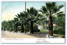 c1910's A California Residence Street Palm Trees Redlands CA Antique Postcard picture