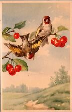 Vintage Postcard - Pair of Birds in Cherry Tree Printed In Belgium picture