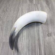 1 Raw Unfinished Cow Horn #3444 Natural Colored picture