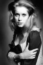 B&W  Photo of French Actress Catherine Deneuve / 8405 picture