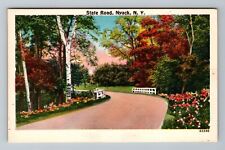 Nyack NY-New York, State Road, Scenic View Vintage Souvenir Postcard picture