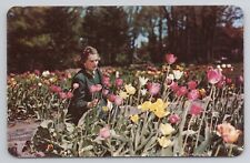 A Beautiful Flower Garden In The Scenic Pocono Mountains PA Postcard 2948 picture