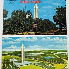 1960s - 1970s Citrus Tower Clermont FL Lookout Building Orange Grove 2 Postcards picture